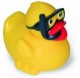 Diver Duck
