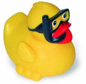Diver Duck
