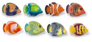 Rainbow Reef Guppies x 1
