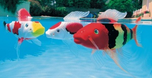 Rainbow Reef Koi