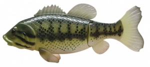 Rainbow Reef Large Mouth Bass