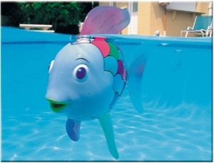 The Rainbow Fish