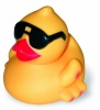 Sunny Duck