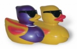 Swimming Ducks