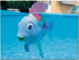 The Rainbow Fish
