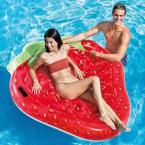 intex inflatable pool float