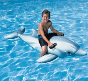 Intex Inflatable LIL Dolphin